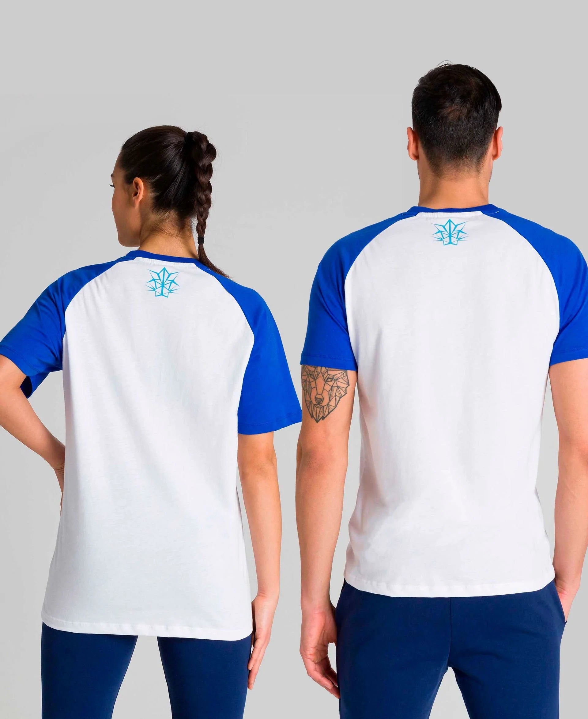 arena Egypt | Team for International Trading